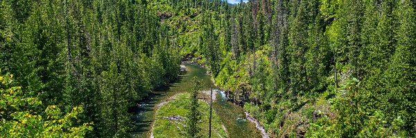 Las, Drzewa, Stany Zjednoczone, Idaho, Zielony, Rzeka, Saint Joe River, Góry