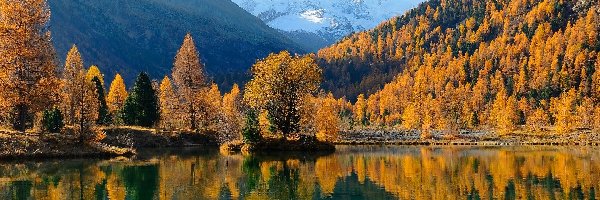 Odbicie, Jezioro, Żółte, Góry, Jesień, Modrzewie, Drzewa