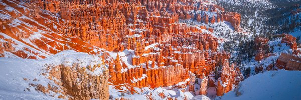 Stany Zjednoczone, Skały, Kanion, Śnieg, Zima, Stan Utah, Park Narodowy Bryce Canyon
