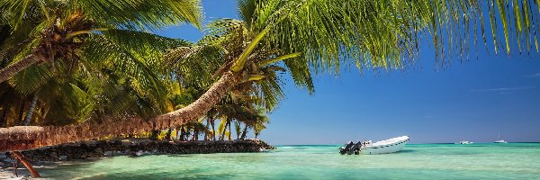 Punta Cana, Palmy, Motorówka, Dominikana, Plaża, Morze