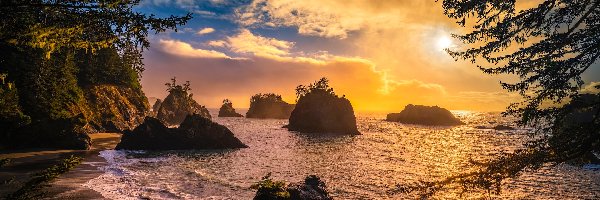 Drzewa, Morze, Stany Zjednoczone, Oregon, Skały, Wybrzeże Park stanowy, Samuel H Boardman State Scenic Corridor, Zachód słońca