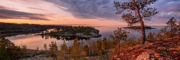 Ładoga, Karelia, Roślinność, Skały, Jezioro, Jesień, Drzewa, Rosja