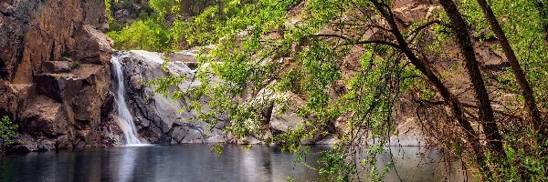 Castle Creek Wilderness, Skały, Drzewa, Arizona, Stany Zjednoczone, Oasis, Wodospad