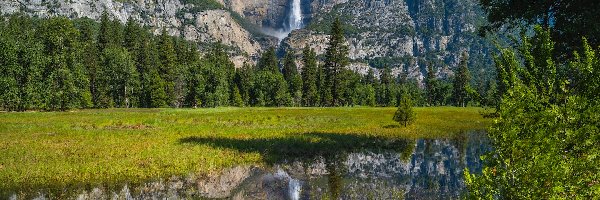 Skały, Kalifornia, Góry, Kwiaty, Park Narodowy Yosemite, Wodospad, Drzewa, Stany Zjednoczone