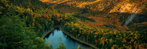 Jezioro, Lasy, Stany Zjednoczone, Stan Nowy Jork, Góry Adirondack, Kolorowe, Drzewa, Jesień