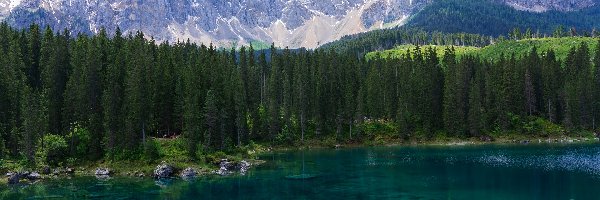 Jezioro, Las, Drzewa, Chmury, Dolomity, Góry