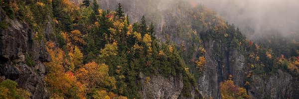 Drzewa, Skały, Kolorowe, Mgła, Góry, Jesień
