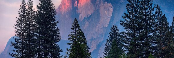 Half Dome, Park Narodowy Yosemite, Góra, Drzewa, Kalifornia, Stany Zjednoczone