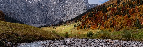 Kolorowe, Potok, Kamienie, Drzewa, Góry, Jesień