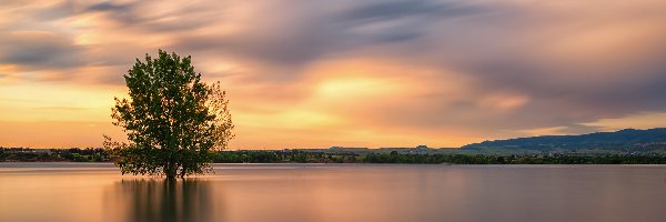 Lake Chatfield, Drzewa, Stany Zjednoczone, Kolorado, Jezioro, Niebo, Park stanowy Chatfield, Wschód słońca