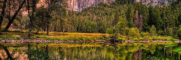 Odbicie, Park Narodowy Yosemite, Skały, Kalifornia, Stany Zjenoczone, Drzewa, Rzeka