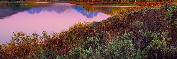 Jesień, Park Narodowy Grand Teton, Góry, Wyoming, Stany Zjednoczone, Drzewa, Jezioro