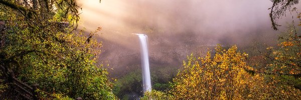 Trawa, Drzewa, Jesień, South Falls, Wodospad, Stany Zjednoczone, Stan Oregon, Skały, Park stanowy Silver Falls