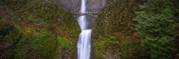 Skały, Multnomah Falls, Stany Zjednoczone, Oregon, Most, Drzewa, Multnomah, Wodospad