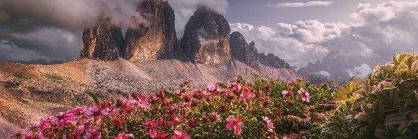 Dolomity, Skały, Włochy, Chmury, Tre Cime di Lavaredo, Polana, Kwiaty, Góry