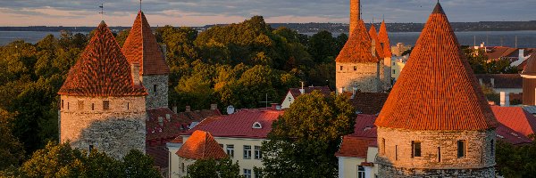 Wieże, Domy, Twierdza Patarei, Drzewa, Tallinn, Estonia