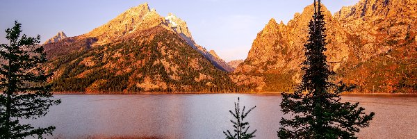 Drzewa, Park Narodowy Grand Teton, Góry, Wyoming, Stany Zjednoczone, Jenny Lake, Jezioro