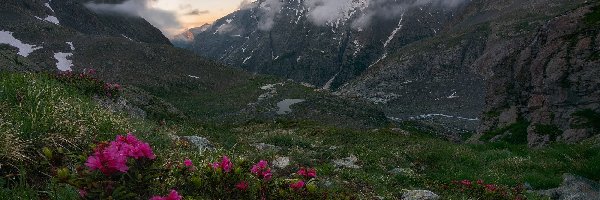 Kwiaty, Chmury, Różanecznik, Góry