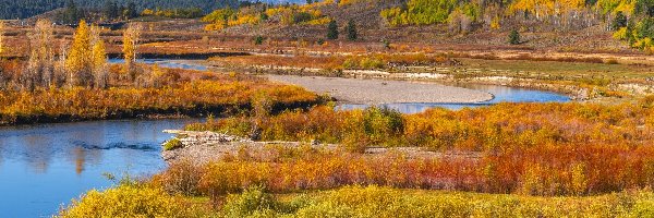 Rzeka Snake River, Góry, Stany Zjednoczone, Jesień, Las, Drzewa, Krzewy, Park Narodowy Grand Teton, Teton Range, Stan Wyoming