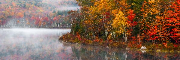 Mgła, Drzewa, Jesień, Odbicie, Las, Jezioro