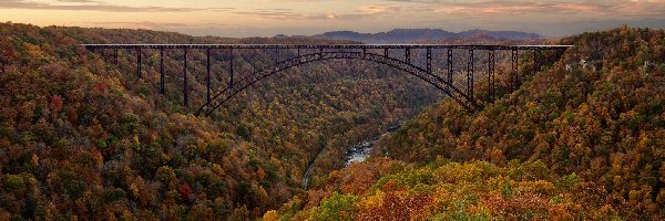 Rzeka, Wirginia Zachodnia, Lasy, Jesień, Wąwóz, Most, New River Gorge Bridge, Stany Zjednoczone