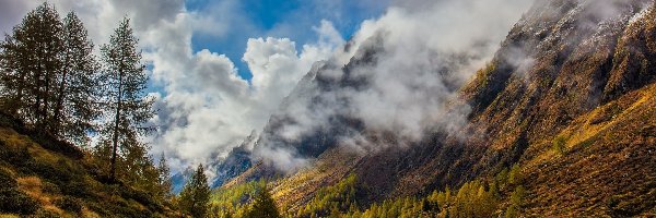 Włochy, Chmury, Drzewa, Góry, Jesień, Val Cane, Rośliny