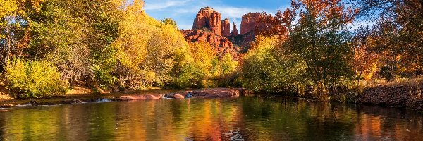Drzewa, Skały, Cathedral Rock, Arizona, Stany Zjednoczone, Jesień, Rzeka