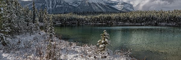 Ośnieżone, Herbert Lake, Chmury, Góry, Zima, Kanada, Park Narodowy Banff, Jezioro, Drzewa