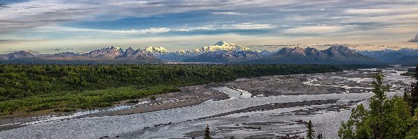 Rzeka, Góry, Stany Zjednoczone, Alaska, Alaska Range, Chulitna River, Park Narodowy Denali, Drzewa