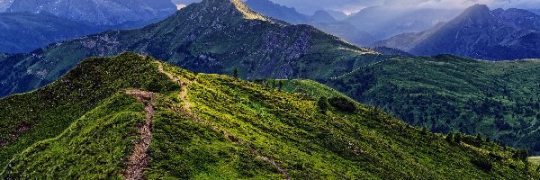 Passo di Giau, Dolomity, Włochy, Prowincja Belluno, Przełęcz, Droga, Łąka, Góry