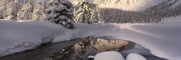 Zima, Góry, Śnieg, Rzeka, Canadian Rockies, Las, Drzewa, Kanada