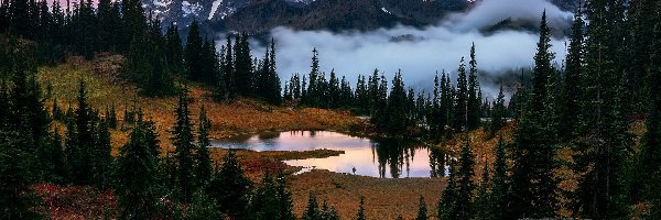 Tipsoo Lake, Jezioro, Mount Rainier, Góra, Stratowulkan, Stany Zjednoczone, Stan Waszyngton, Drzewa, Park Narodowy Mount Rainier