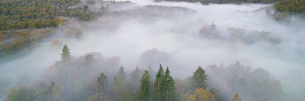 Anglia, Mgła, Wzgórza, Drzewa, Lasy, Kumbria, Park Narodowy Lake District