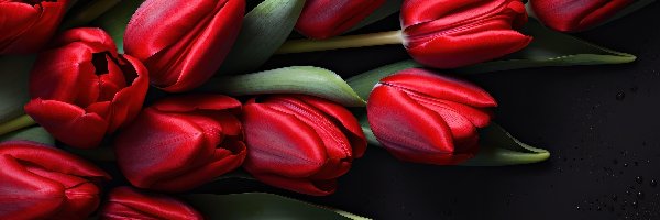 Czerwone, Tło, Czarne, Tulipany
