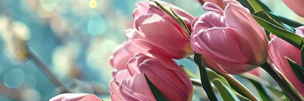 Różowe, Rozświetlone tło, Tulipany, Kwiaty