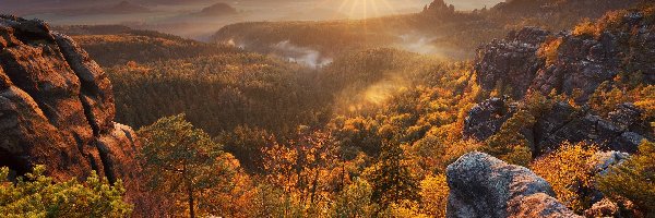 Drzewa, Jesień, Niemcy, Promienie słońca, Góry Połabskie, Lasy, Skały, Park Narodowy Saskiej Szwajcarii