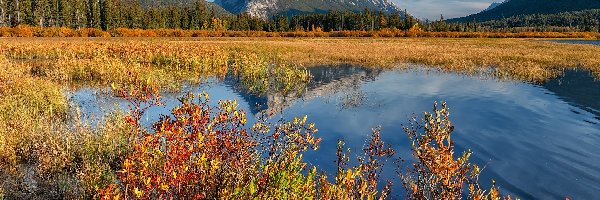 Mount Rundle, Park Narodowy Banff, Drzewa, Jesień, Góra, Jezioro, Vermilion Lake, Kanada