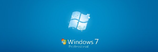 Professional, Windows 7