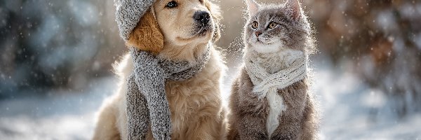 Zima, Czapka, Szalik, Grafika AI, Kot, Pies