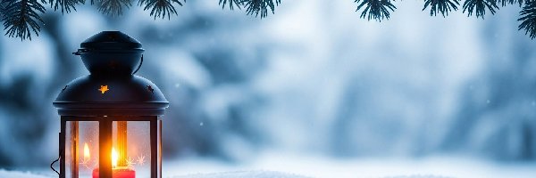 Gałązki, Lampion, Śnieg, Szyszki, Świecący, Zima