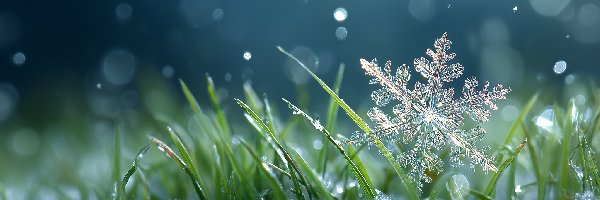 Trawa, Grafika AI, Śnieg, Śnieżynka