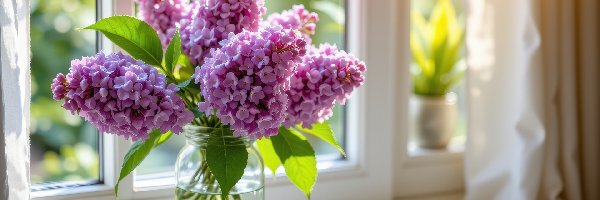 Parapet, Bez, Słoik, Okno, Lilak, Kwiaty