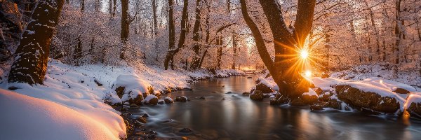 Promienie słońca, Oszronione, Drzewa, Las, Zima, Śnieg, Rzeka