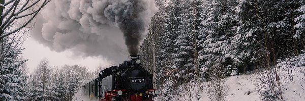 Zima, Śnieg, Las, Drzewa, Lokomotywa parowa, Pociąg