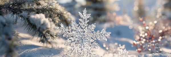 Śnieżynka, Gałązki, Śnieg, Grafika AI, Śnieg