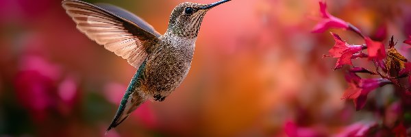 Ptak, Grafika AI, Kwiaty, Koliber