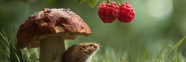 Grzyb, Grafika AI, Maliny, Myszoskoczek