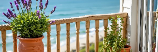 Donica, Morze, Lawenda, Balkon