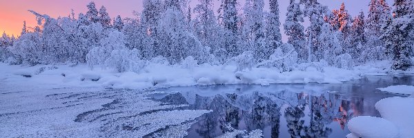 Ośnieżone, Oblodzona, Drzewa, Zaspy, Rzeka, Zima
