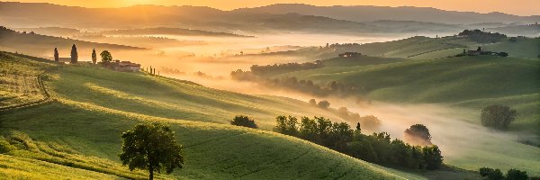 Pola, Drzewa, Wzgórza, Wschód słońca, Niebo